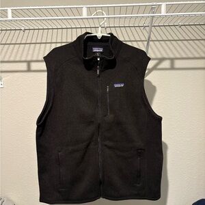 Patagonia Men's Dark Vest